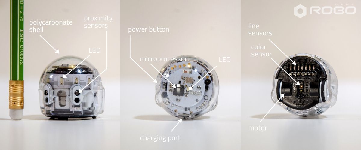 Ozobot Evo Review: Coding with a robot in your pocket